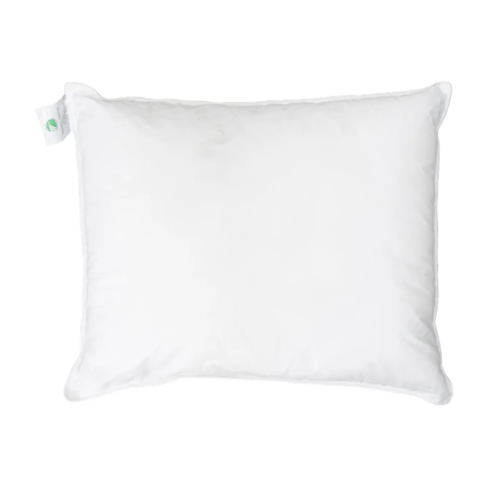 Borås cotton care kudde 50×60 cm