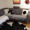 Clara Kohud svart
