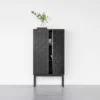Collect 2016 black cabinet