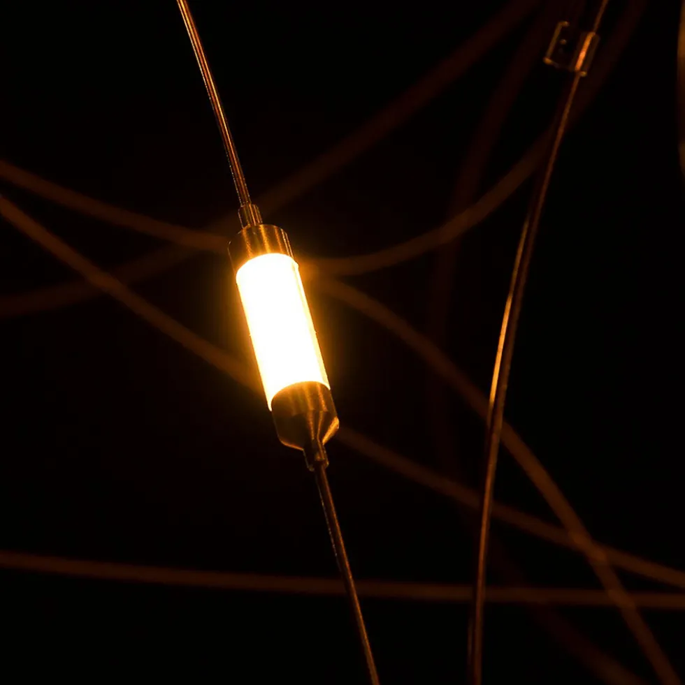 Flock Of Light 31
