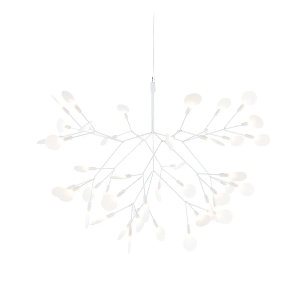 Heracleum lll Suspended small