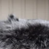 Katy Stolsdynor ⌀34 Black