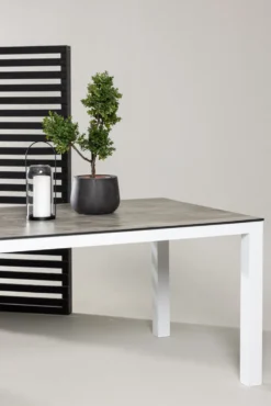 Llama Rektangulära Matbord 205 × 100 Grå