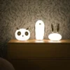 Pet Light Uhuh
