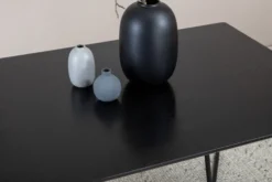 Petra Rektangulära Matbord 190 x 90 Black