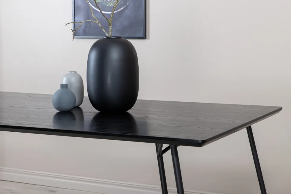Petra Rektangulära Matbord 190 x 90 Black