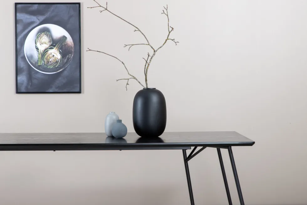 Petra Rektangulära Matbord 190 x 90 Black