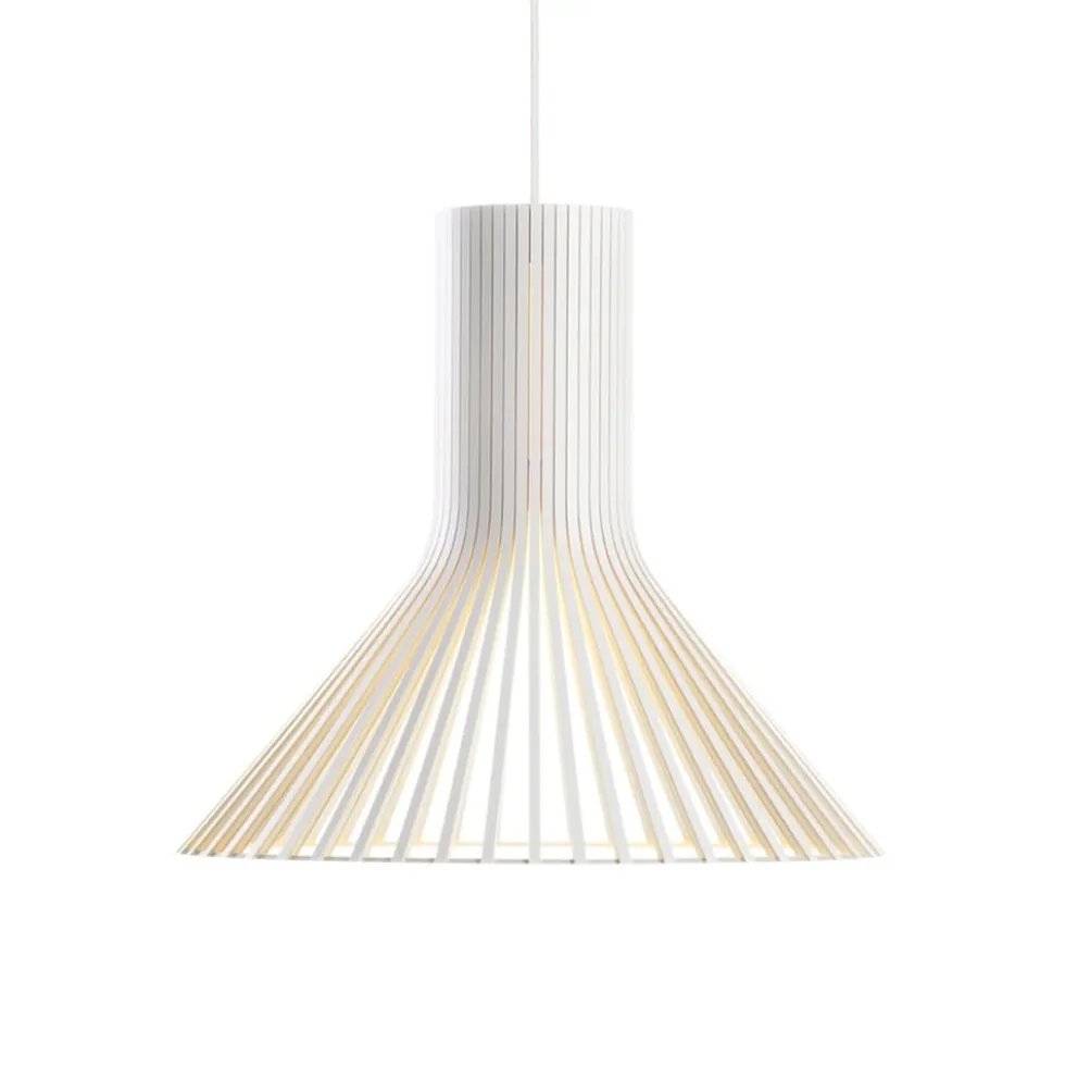 Puncto 4203 pendel