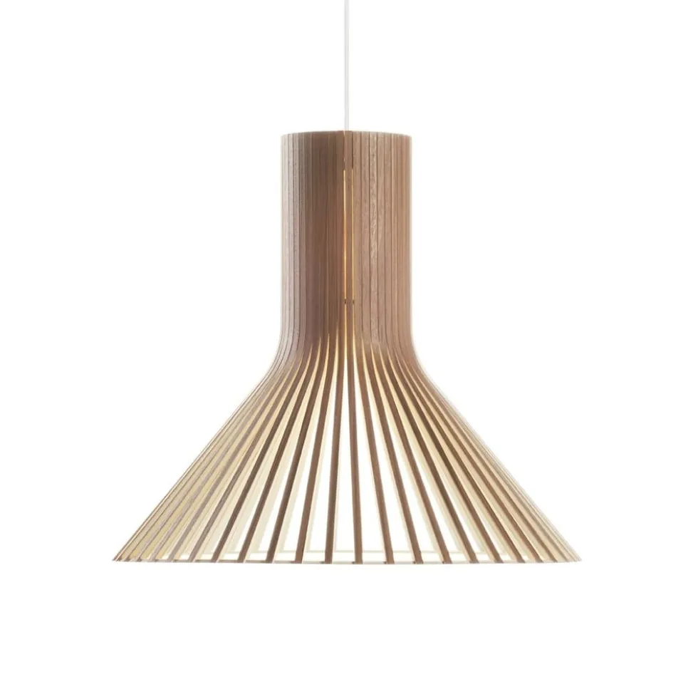Puncto 4203 pendel