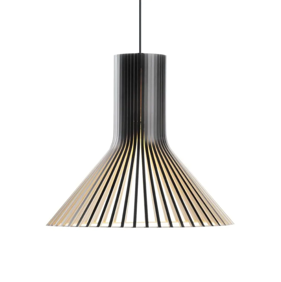Puncto 4203 pendel