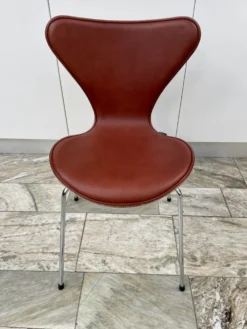 Sjuan Valnöt / Chestnut