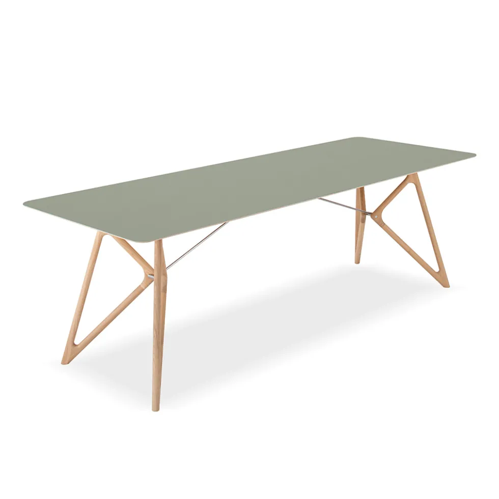 Tink matbord 160