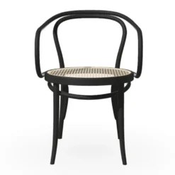 Ton Thonet karmstol No. 30 rotting