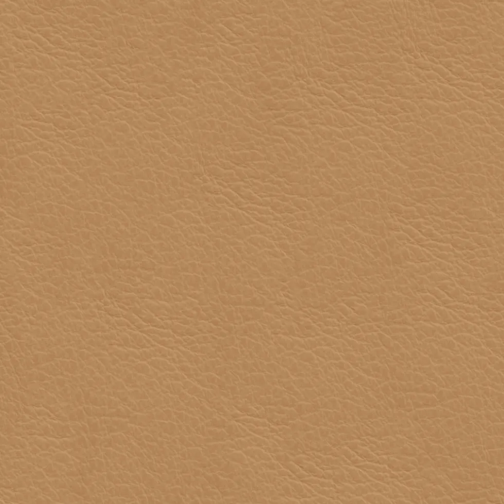 Vesta special 2,5-sits + divan