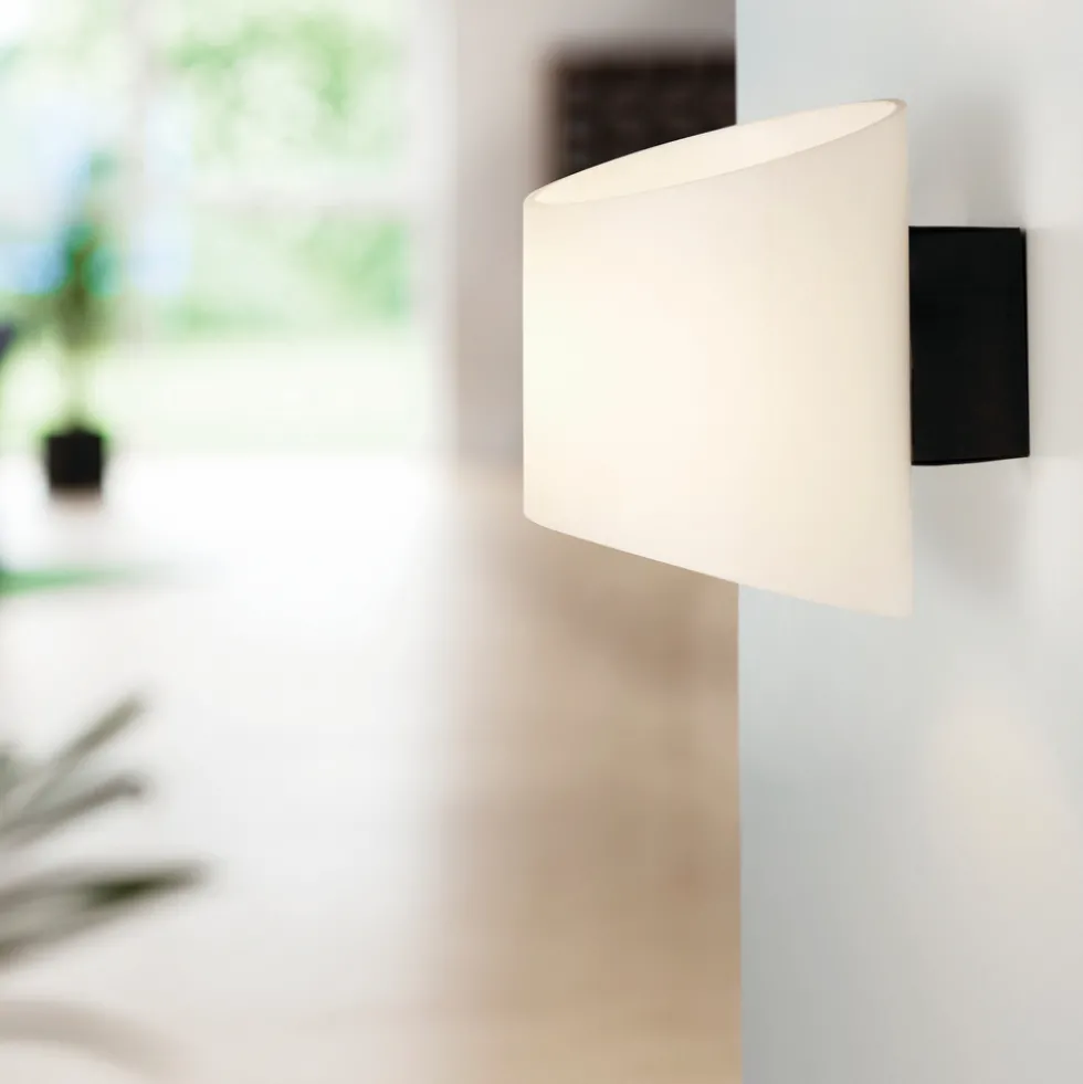 Vägglampa Evoke oval antracit/opal glas