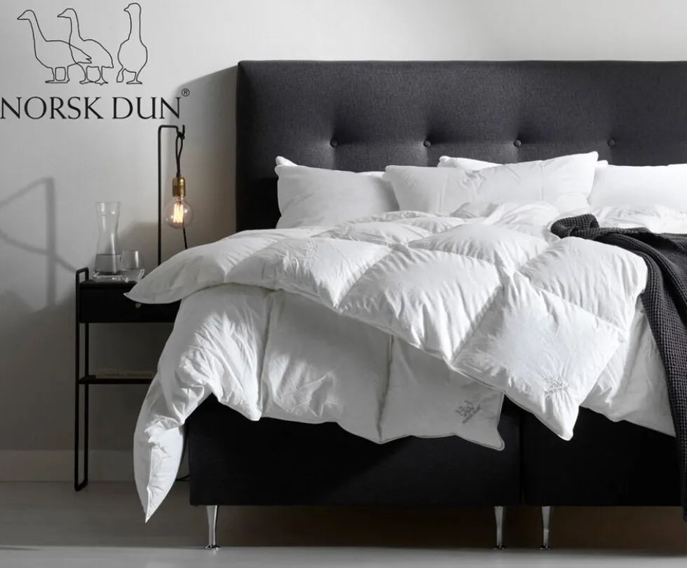ZEN Dunkudde